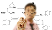 Custom Formulation