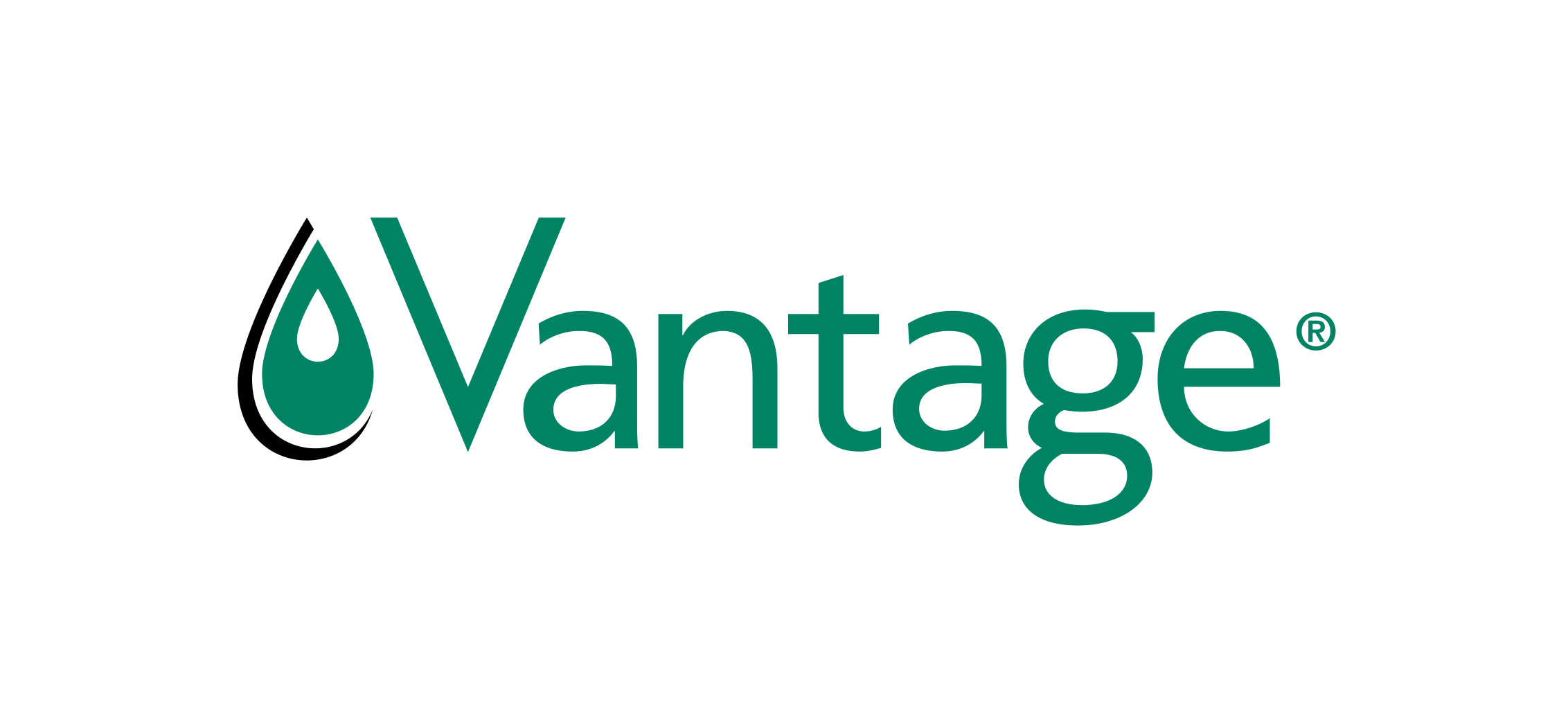 Vantage_Logo_Green_Black_RGB_Registered (1).png